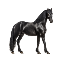 AI generated A black horse isolated on transparent background png