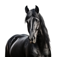 AI generated A black horse isolated on transparent background png