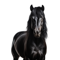 AI generated A black horse isolated on transparent background png