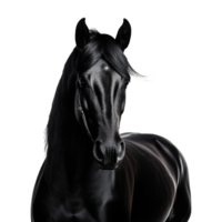 AI generated A black horse isolated on transparent background png