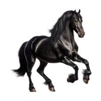 AI generated A black horse isolated on transparent background png