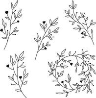 Minimalistic line art set plant branches isolated on white background vector