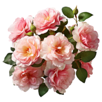 ai gerado rosa flor 3d render isolado em transparente fundo png