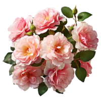 AI generated Rose flower 3d render isolated on transparent background png