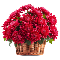 AI generated Basket of red chrysanthemums isolated on transparent background png