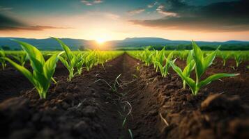 AI generated Agricultural shot showcases rows of young corn plants thriving in a vast field with fertile soil, Ai Generated photo