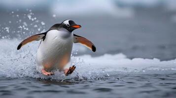 ai generado juguetón pingüino diapositivas graciosamente en el hielo, disfrutando un momento de glacial deleitar, ai generado. foto