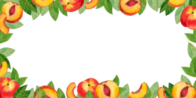 Rectangular frame made of fruits. Watercolor elements of peaches and nectarines, slices of juicy fruits drawn by hand in watercolors. Suitable for packaging juices, food, fabrics, towels, kitchens png