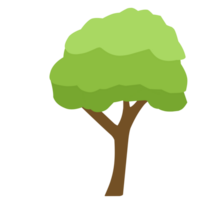 arbre vert simple png