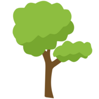 semplice albero verde png