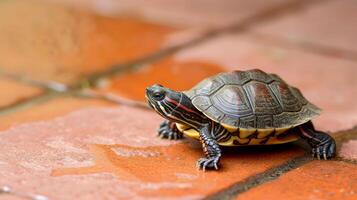 AI generated Small turtle ambles across a tile floor, its shell glinting in the ambient light, Ai Generated. photo