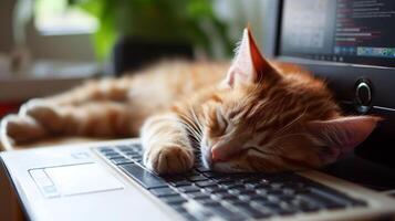 ai generado linda naranja atigrado gato dormido en un computadora portátil, un gracioso y entrañable escena, ai generado. foto