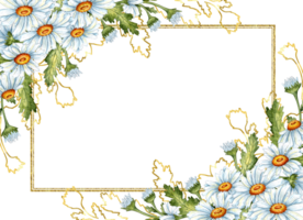 Watercolor illustration of a golden rectangular frame made of white daisies, green leaves and brown outlines. Isolated meadow flowers composition for weddings, posters, cards, banners, flyers, covers, png