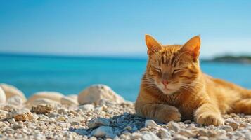 AI generated A tabby cat is lying on the beach, its paws extended in front of it, Ai Generated photo