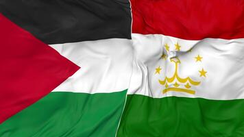 Palestine and Tajikistan Flags Together Seamless Looping Background, Looped Bump Texture Cloth Waving Slow Motion, 3D Rendering video