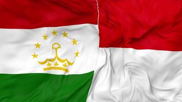 Indonesia y Tayikistán banderas juntos sin costura bucle fondo, serpenteado bache textura paño ondulación lento movimiento, 3d representación video