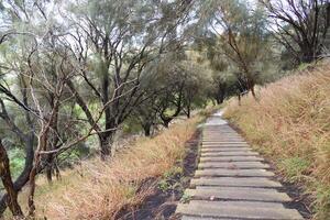 Trekking route pathway that leads visitors through Mount Schank is a dormant volcano crater's rim countryside 10 minutes drive from mount Gambier centre. photo