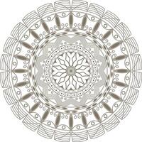 A circular mandala design with a floral pattern vector