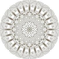 A circular mandala design with a floral pattern vector