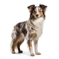 AI generated A dog in full view, distinct and vivid against a white backdrop, Ai Generated photo