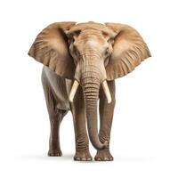 AI generated A detailed image of an elephant, set in sharp relief by a white backdrop, Ai Generated photo
