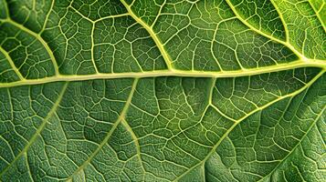 AI generated Intricate patterns and veins of a leaf showcased in detailed photography, Ai Generated photo