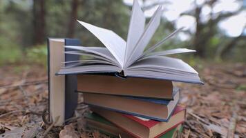 Stacked books in the forest. The concept of learning, reading, and knowledge. Close-up. Blurred background. 4k video