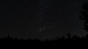 espaço de tempo do comovente estrelas dentro noite céu sobre árvores 4k video