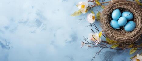 AI generated Eggs nestled in a bird nest on a textured table against a bright blue background, Ai Generated. photo