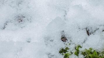 langzaam beweging macro schot van glimmend smelten sneeuw deeltjes draaien in vloeistof water en onthullend groen gras, kogels en machine geweer rondes. video