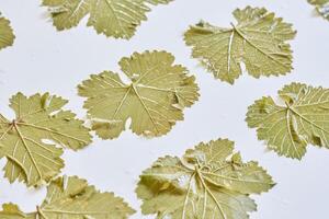 several leaves of green grapes on a white surface photo