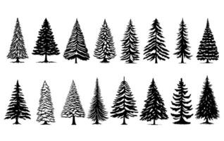 Silhouettes of fir trees of various shapes. Various types of cypress trees isolated background vector