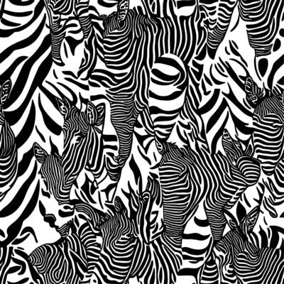 Abstract zebra stripe pattern design. Unique design of zebra skin stripes for fabric industry patterns