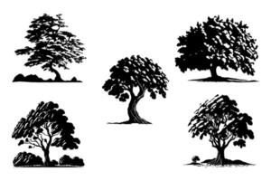 siluetas de roble arboles en invierno. árbol ilustración con nieve sombra efecto vector