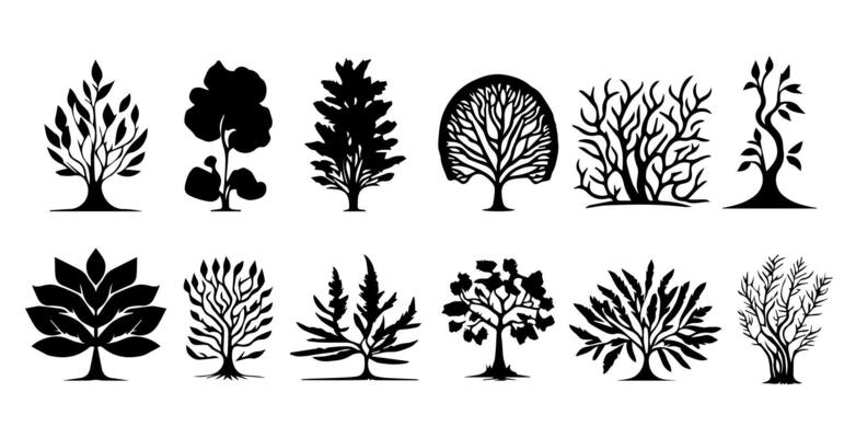 Set of ornamental plants of various types for the garden. Silhouettes of ornamental plants for design elements