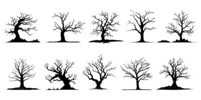 Silhouette of a dead tree vector illustration. Illustration of trees and branches without leaves