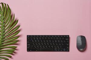 top view of a keyboard and mouse on a pink background with palm leaves photo