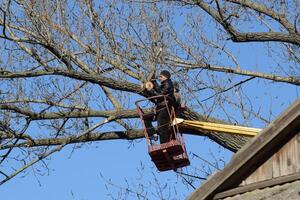 Pruning trees using a lift-arm photo