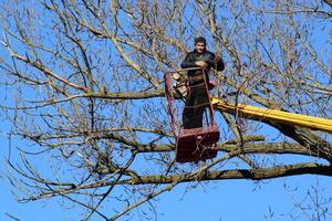 Pruning trees using a lift-arm photo