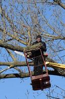 Pruning trees using a lift-arm photo