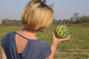 Girl with a watermelon in her hand. Search for watermelons in the field of melons. Found a watermelon. photo