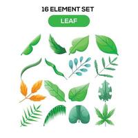 leaf illustration set elements vector