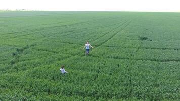 Young woman with her son playing on the field of green wheat. Walking in the open air. Video from the drone. photo