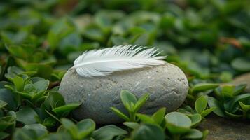 ai generado un delicado pluma descansando en un suave piedra, rodeado por oferta verde dispara de césped foto