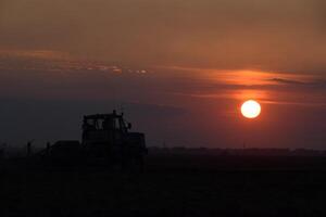 Tractor plowing plow the field on a background sunset. tractor silhouette on sunset background photo