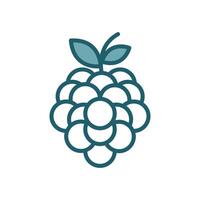 black berry icon vector design template simple and clean