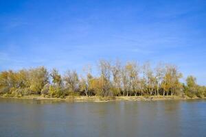 Autumn landscape. River bank with autumn trees. Poplars on the b photo