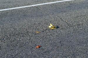 Yellow leaf on asphalt photo