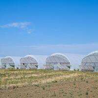 A group of greenhouses for growing tomatoes and cucumbers. photo