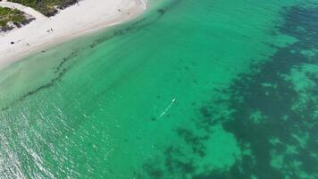 folie bord surfing water sport- Mullaloo strand Perth antenne 4k video